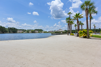 a white sandy beach with palm trees and a pier in the background